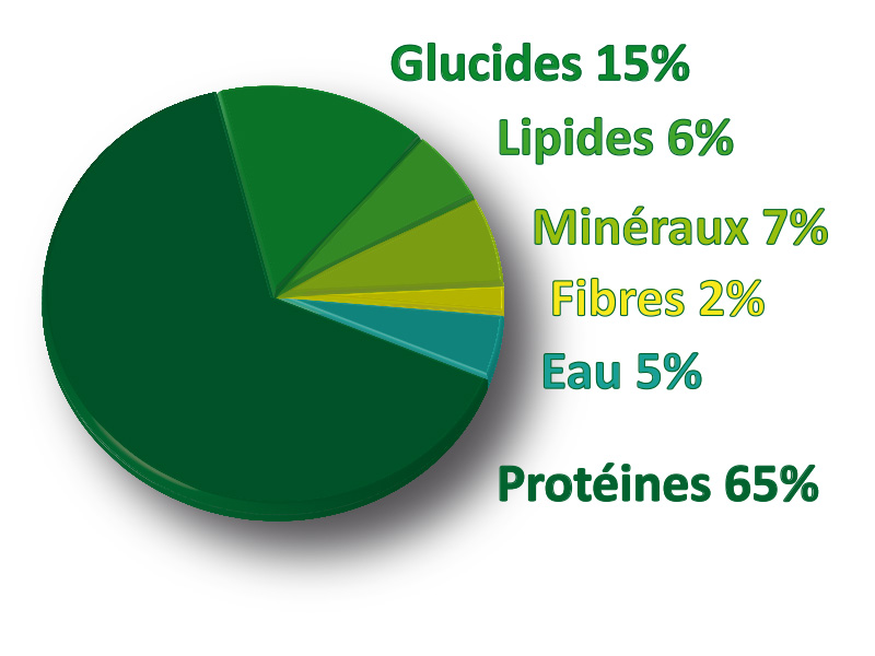 3 Valeurs-nutritionnelles-de-la-spiruline-SPIFORM