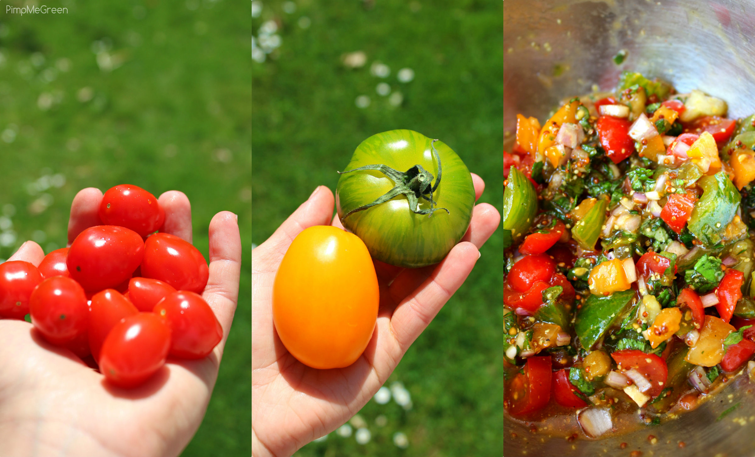 Collage tomates marinées PMG